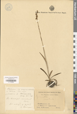 LE 01030580