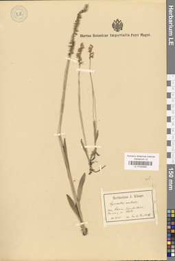 LE 01030593