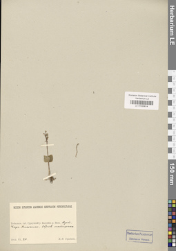 LE 01030614