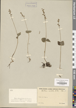 LE 01030619