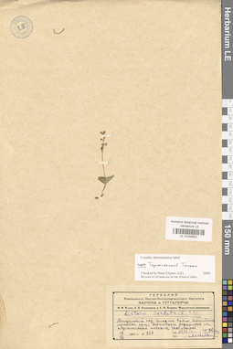 LE 01030622