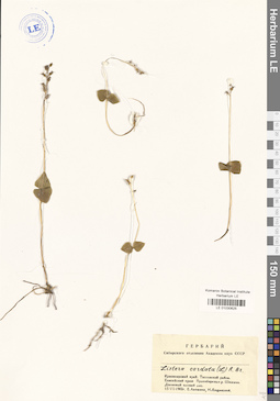 LE 01030625