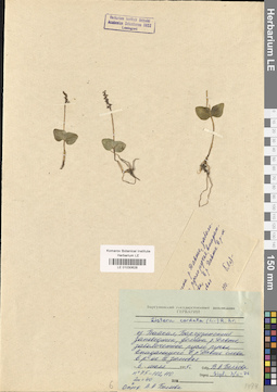 LE 01030628
