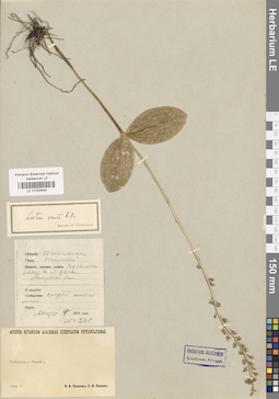 LE 01030644