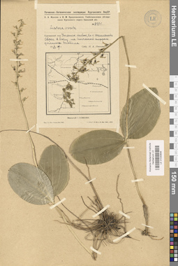 LE 01030646