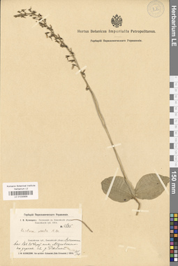 LE 01030656