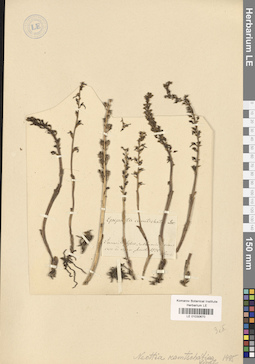 LE 01030670