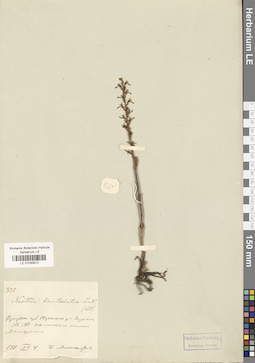 LE 01030672