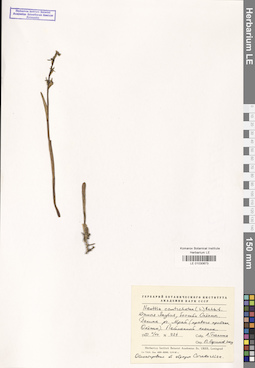 LE 01030673