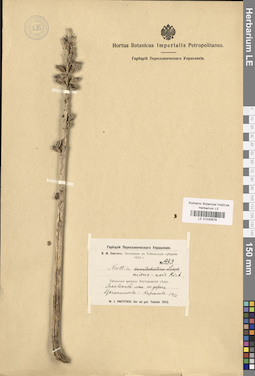 LE 01030676