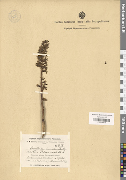 LE 01030678