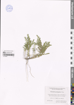 LE 01280807