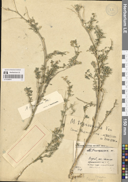 LE 01280816