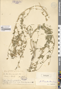 LE 01280819