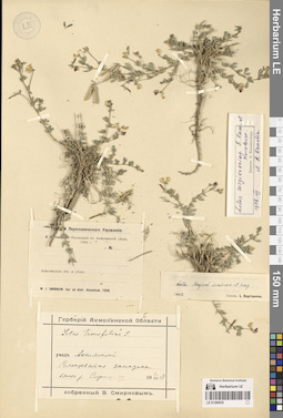 LE 01280835