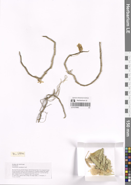 LE 01276502