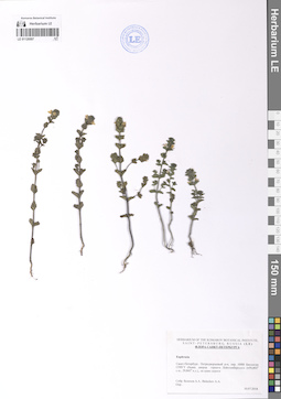 LE 01120597