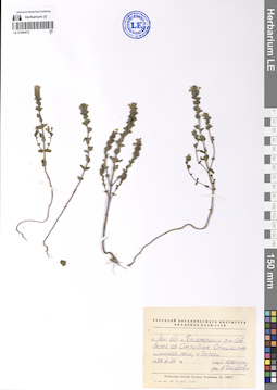 LE 01200413