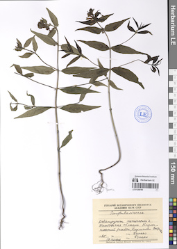 LE 01200790