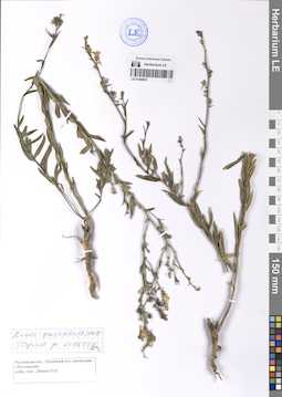 LE 01200837