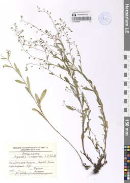 LE 01200926
