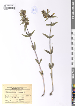 LE 01200927
