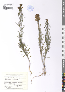 LE 01200932