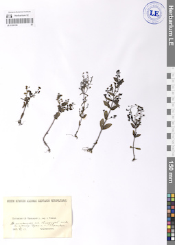 LE 01206186