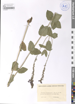 LE 01206187