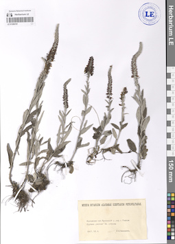LE 01206191