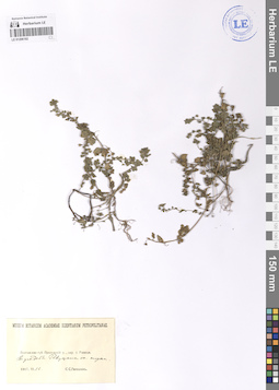 LE 01206192