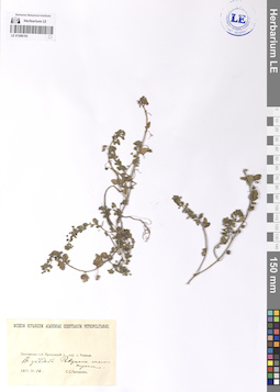 LE 01206193