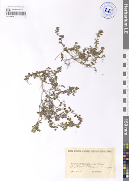 LE 01206194