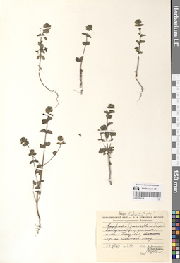 LE 01290138
