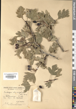 LE 01020089
