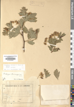 LE 01020094
