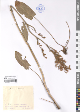 LE 01119015