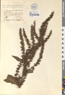 LE 01119024