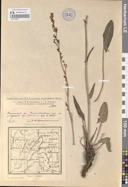 LE 01119029
