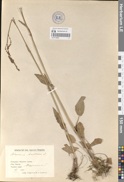 LE 01119032