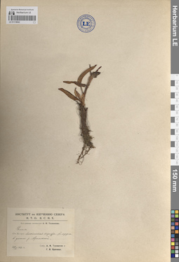 LE 01119042