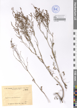 LE 01119063
