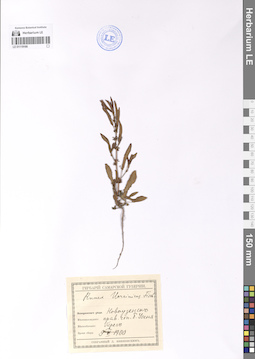 LE 01119166