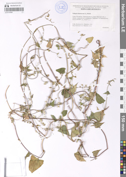 LE 01121054