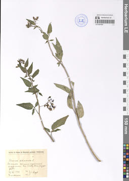 LE 01201834