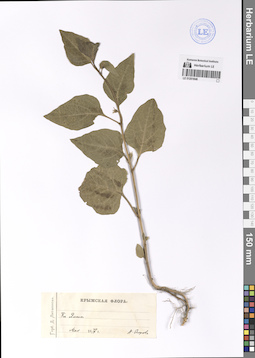 LE 01201846