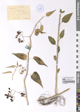 LE 01201851