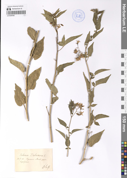 LE 01201852