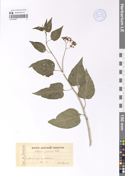 LE 01201857
