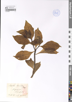 LE 01201861